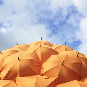 Foto von <a href="https://unsplash.com/de/@simplelovelyuseful?utm_content=creditCopyText&utm_medium=referral&utm_source=unsplash">Catrin Johnson</a> auf <a href="https://unsplash.com/de/fotos/orangefarbener-regenschirm-lot-__8-tD_Qd-Y?utm_content=creditCopyText&utm_medium=referral&utm_source=unsplash">Unsplash</a>